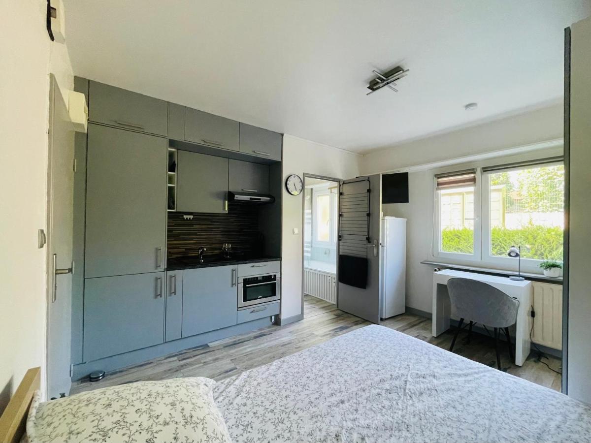 Dnn - Stylish Studio - Free Wifi, Netflix And Parking - Min Away To Basel And Airport - Dishwasher, Washing Machine Saint-Louis  Zewnętrze zdjęcie