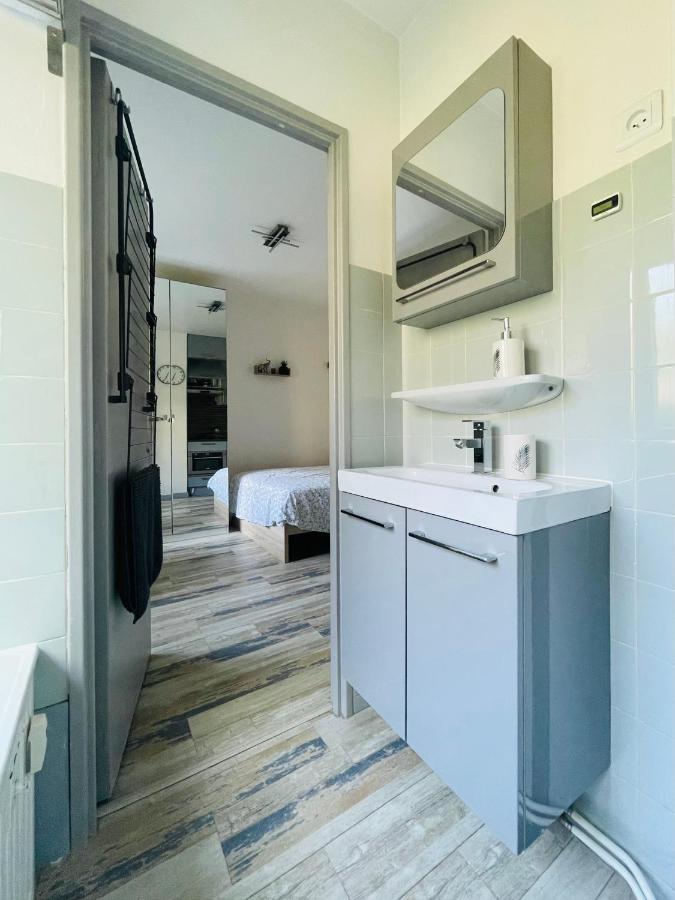 Dnn - Stylish Studio - Free Wifi, Netflix And Parking - Min Away To Basel And Airport - Dishwasher, Washing Machine Saint-Louis  Zewnętrze zdjęcie