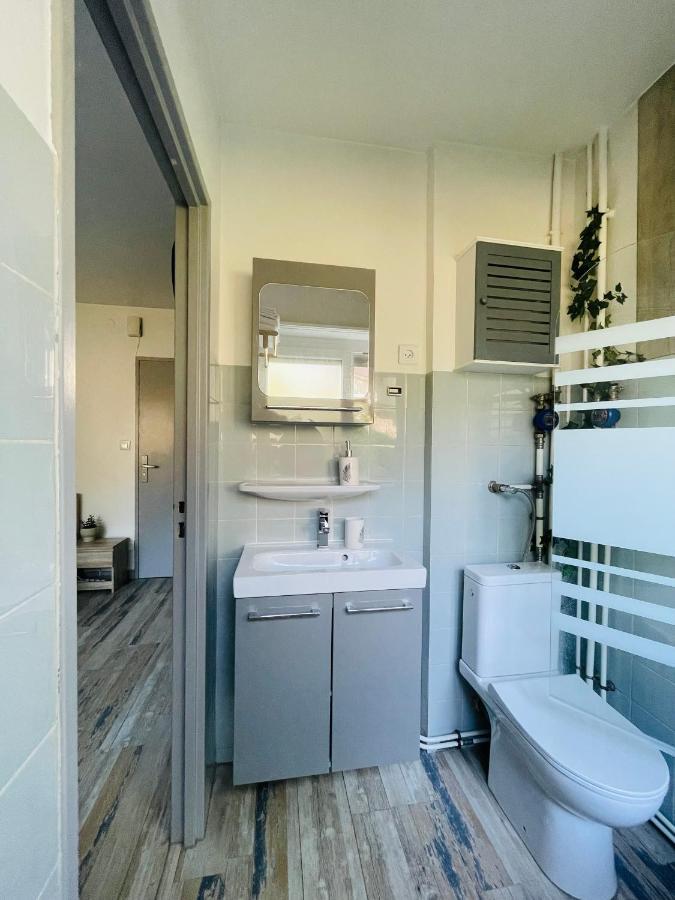Dnn - Stylish Studio - Free Wifi, Netflix And Parking - Min Away To Basel And Airport - Dishwasher, Washing Machine Saint-Louis  Zewnętrze zdjęcie